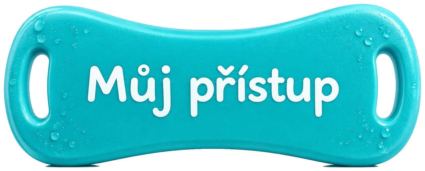 Můj přístup